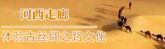 ȡM(jn)̽ش񵩻Ǿ^(gun)