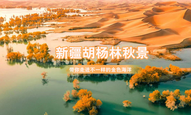 門票頁左側圖1