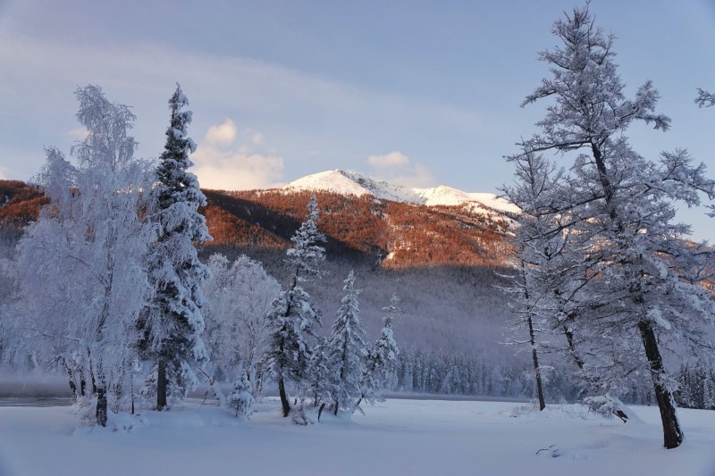 �����ձ��������{˹��ѩ�� ��ľ��ѩ ِ��ľ���{(l��n)��