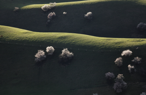 ��4�����硿 �ӻ�����  �������� ������